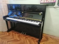 В Детскую школу искусств с.Пажга поступило новое фортепиано