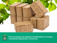 В Сыктывдинском районе возобновили поставку топливных брикетов и пеллетов